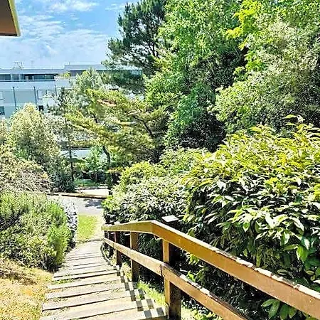 Un Nid Dans Les Pins * La Baule-Escoublac