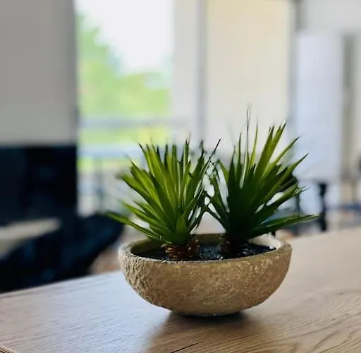 Un Nid Dans Les Pins Apartamento