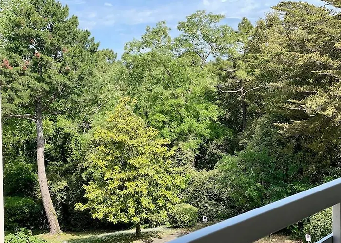 Apartamento Un Nid Dans Les Pins