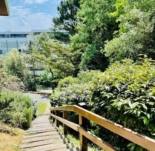 Un Nid Dans Les Pins *